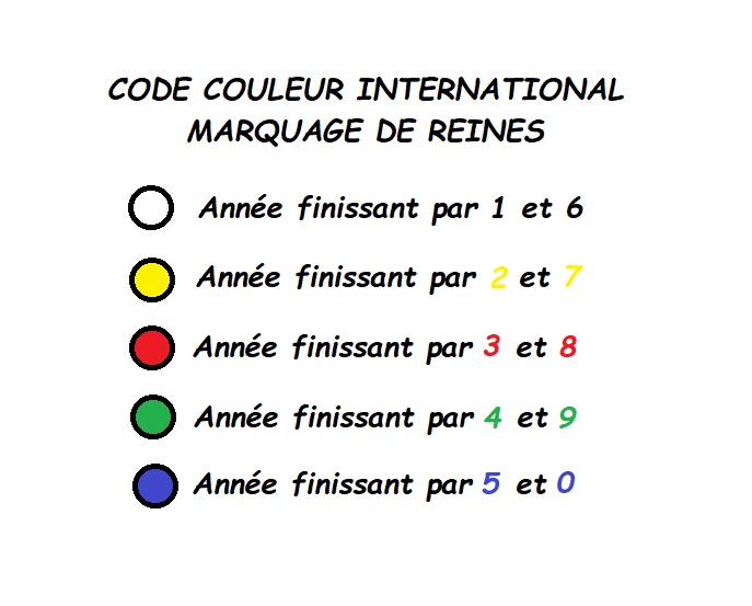 Code couleur international - Marquage de reines