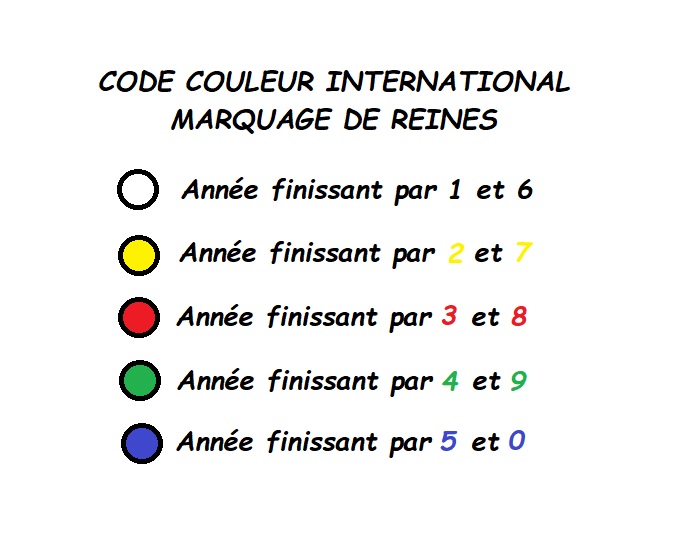 Code couleur international - marquage de reines