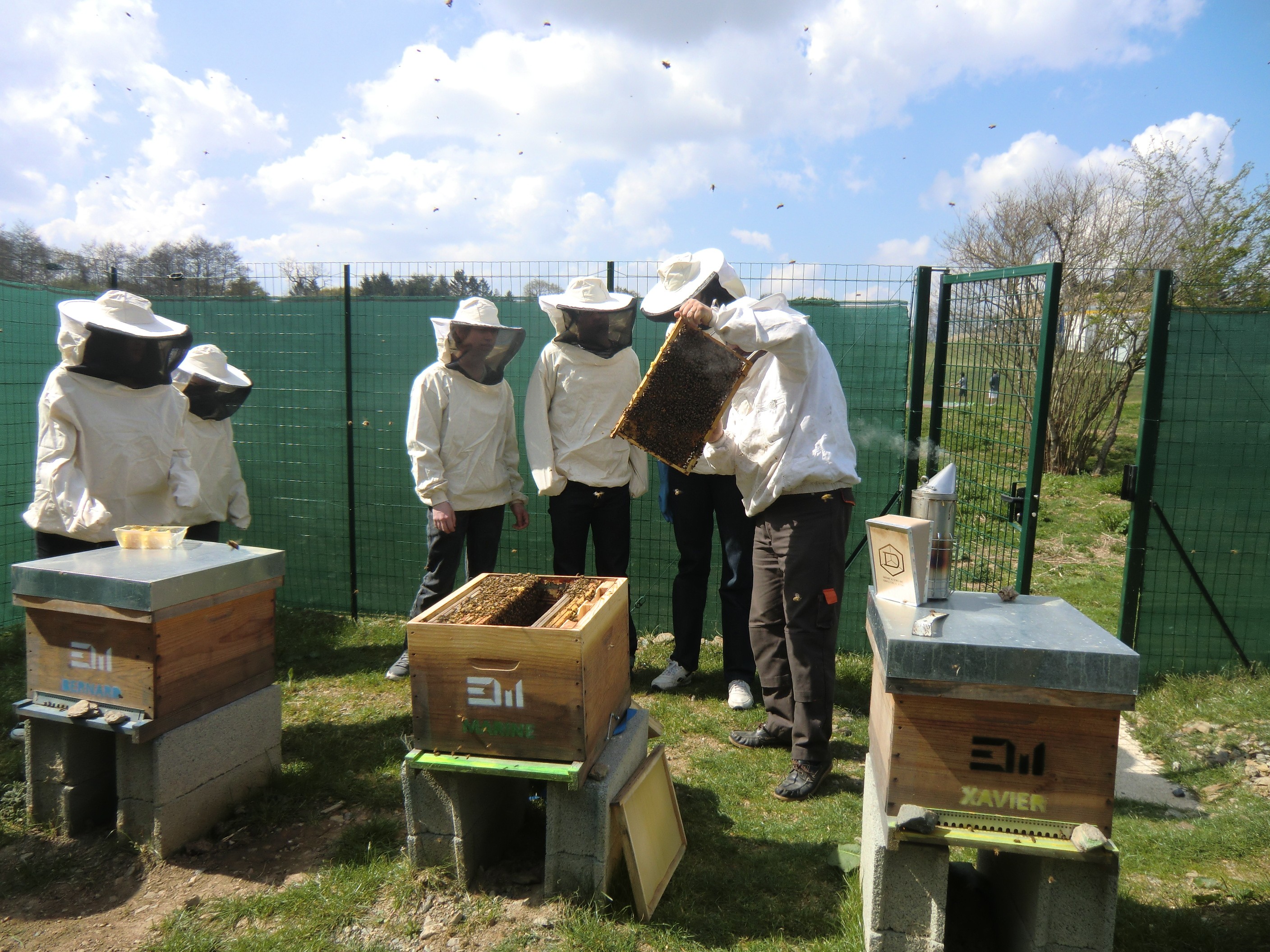 Débuter en apiculture MAT API
